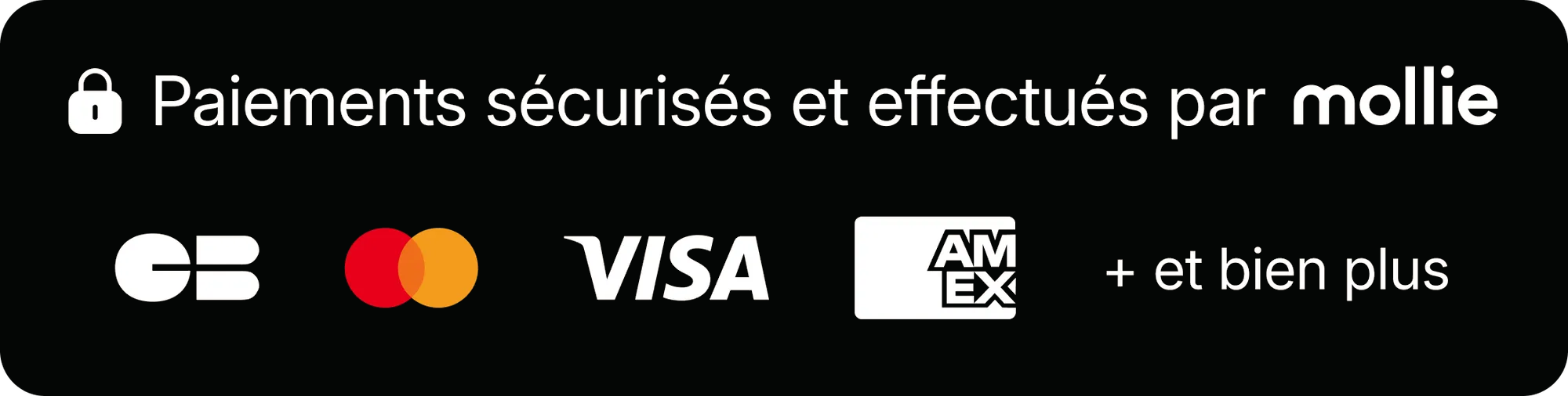 Paiements sécurisés et effectués par Mollie — CB, Mastercard, Visa, American Express et bien plus